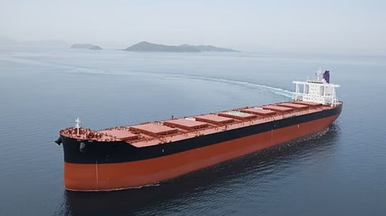 CAPE SIZE BULK